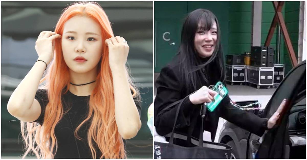 jooe thumbnail