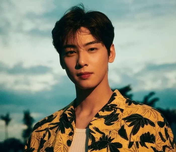 cha eun woo