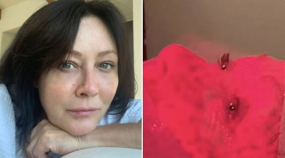 Shannon Doherty thumbnail