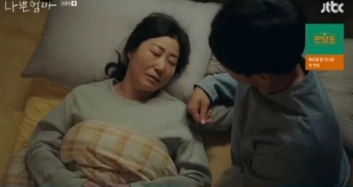 the good  bad mother