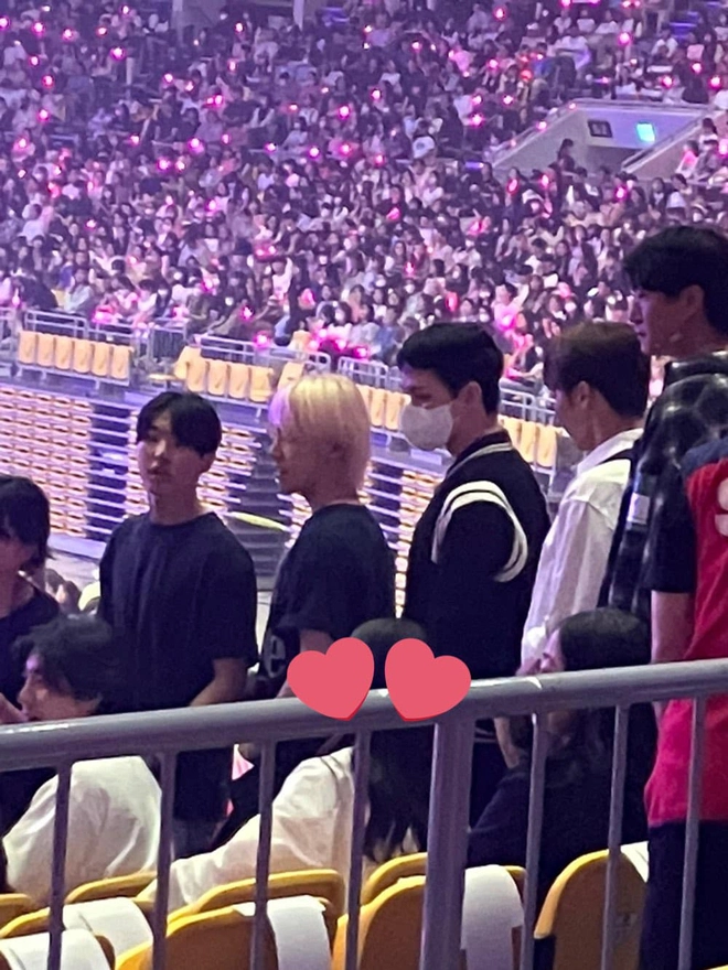 The handsome members of SEVENTEEN came to enjoy their senior's concert.