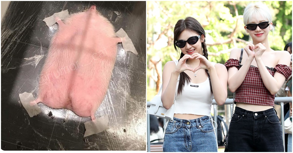 ningning-thumbnail