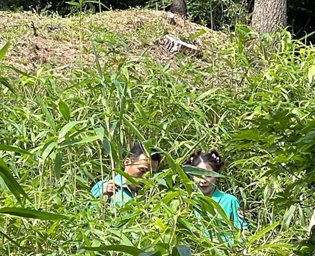 boa