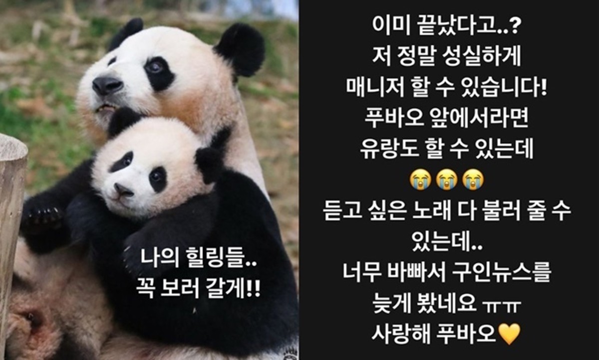panda