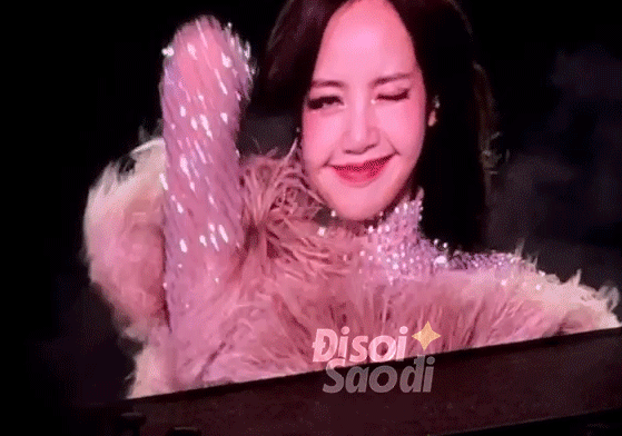 blackpink lisa concert vietnam