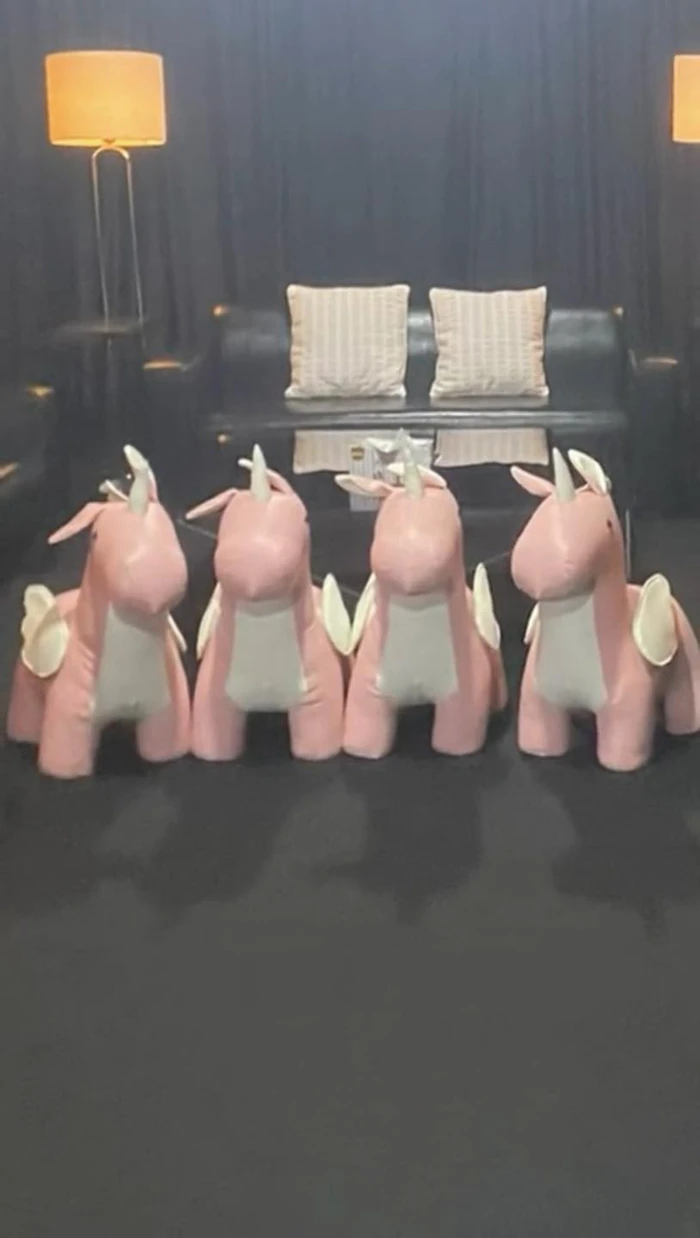 blackpink room