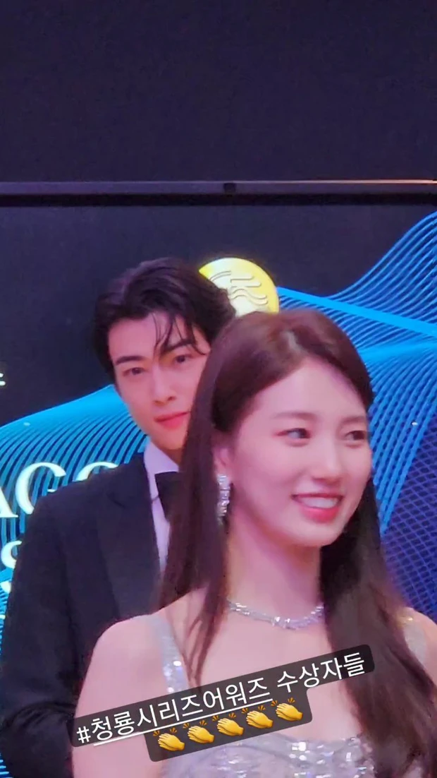 cha eun woo -suzy