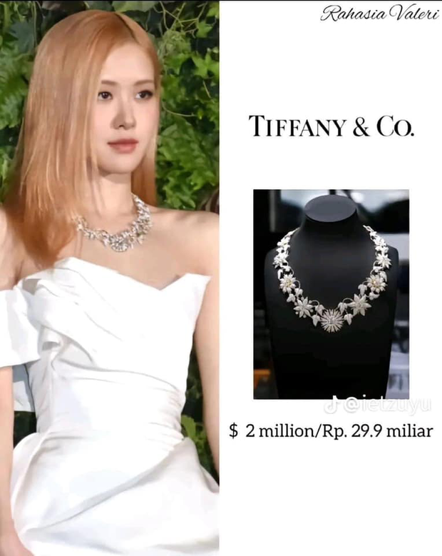 Rosé has been praised by the media for her elegant and sophisticated appearances, resembling a wealthy heiress. She once wore a Tiffany & Co flower-shaped necklace worth over 2,000,000 USD, pairing it with a dazzling white gown.