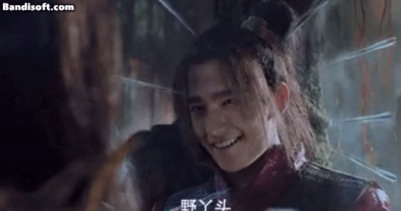yang yang