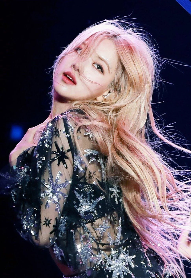 black pink rose