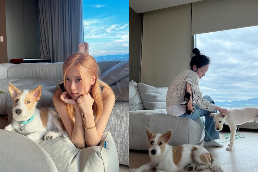 blackpink rose jisoo