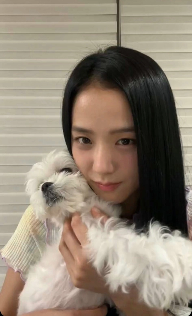 jisoo blackpink