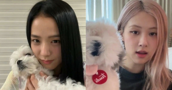 jisoo rose blackpink thumbnail