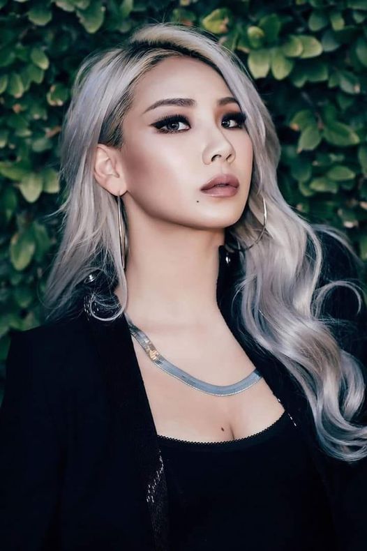 cl 2ne1