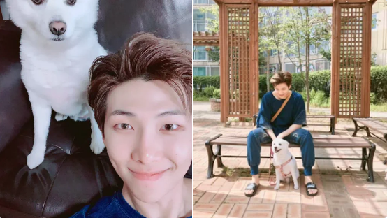 bts rm mony thumbnail