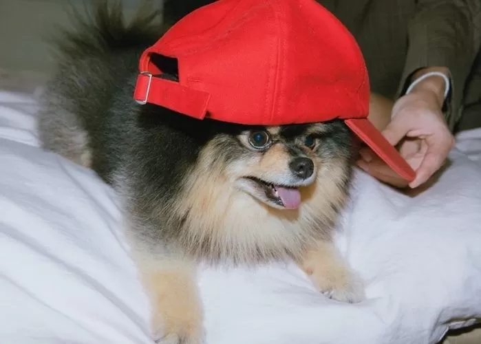 yeontan