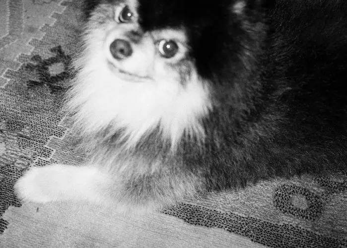 yeontan