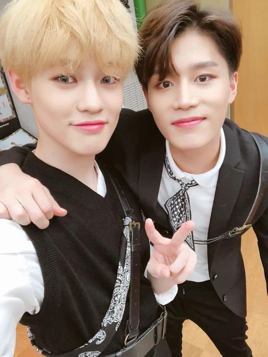 chenle taeil