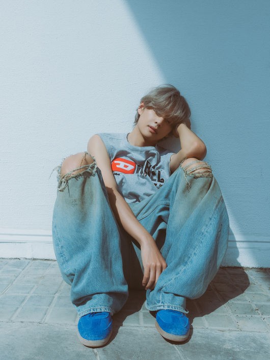 bts v 