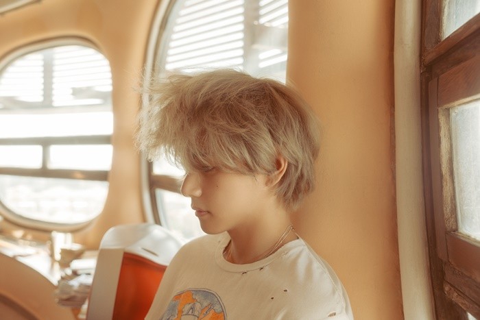 bts v 
