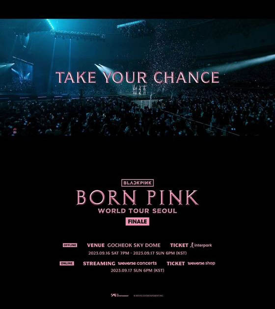 BLACKPINK Releases World Tour Highlights Video