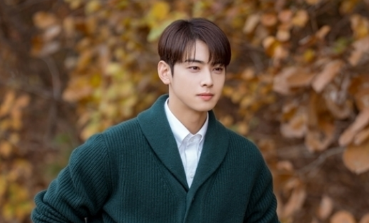 cha eun woo thumbnail