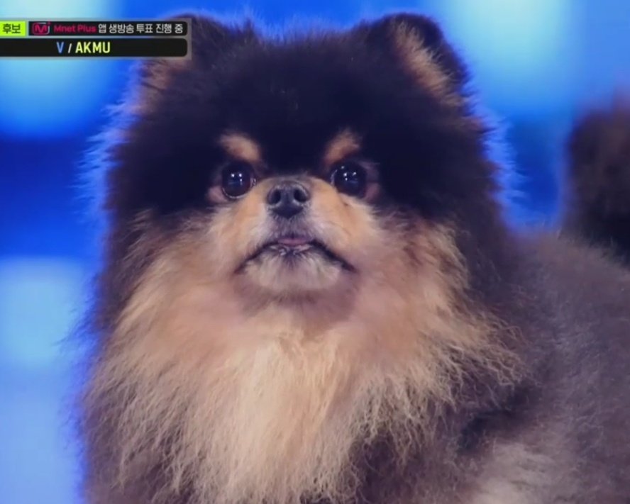 Yeontan