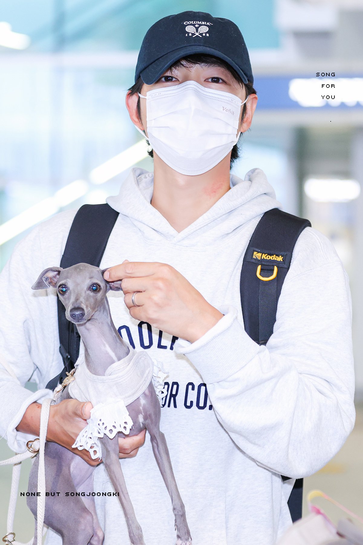 song joong ki with nala