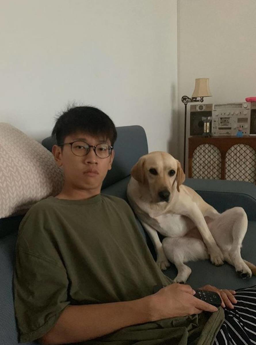 crush rose dog
