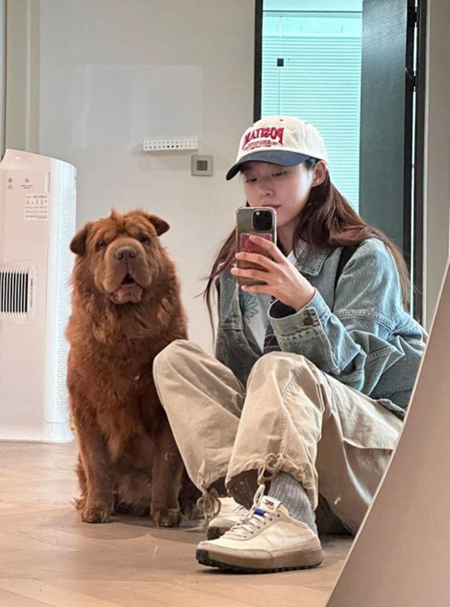 seolhyun coat shar pei