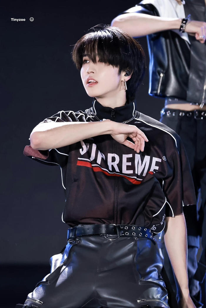 stray kids han