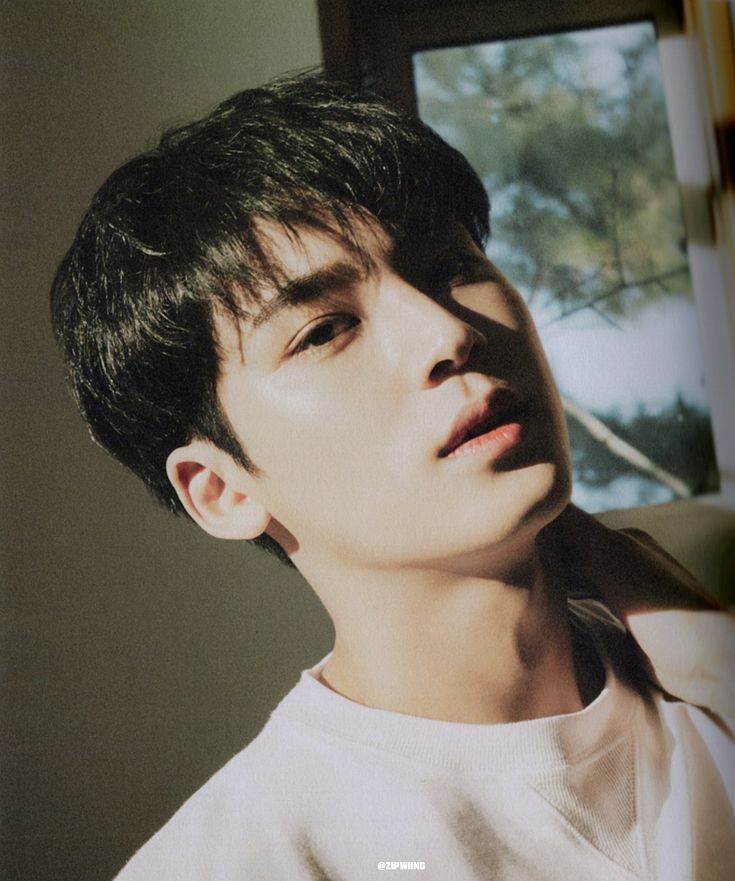 seventeen mingyu