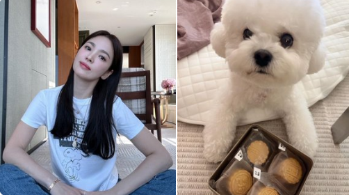 song hye kyo ig thumbnail