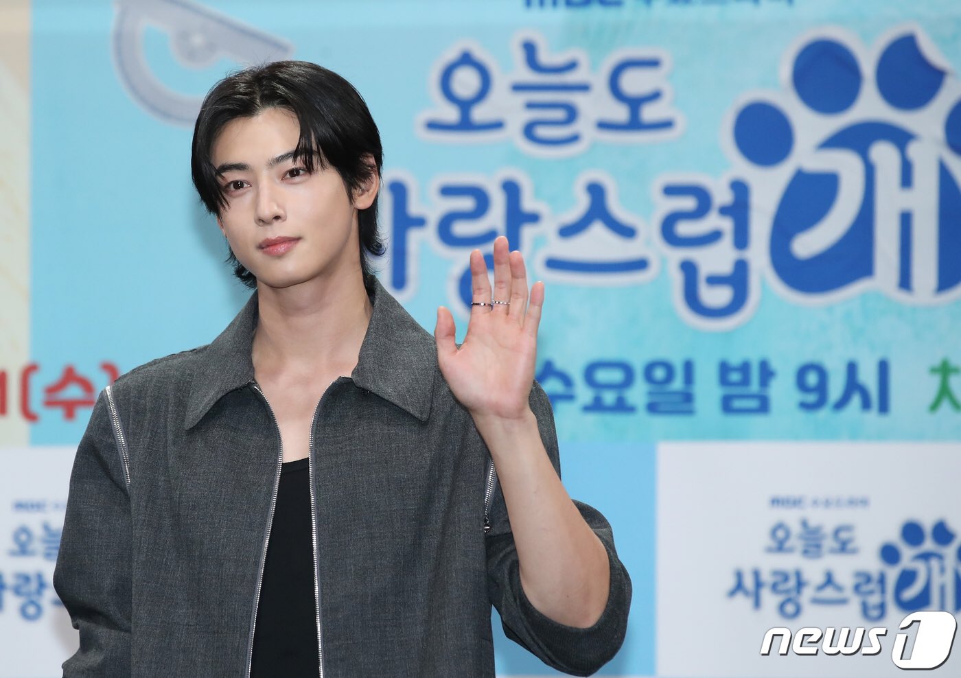 Cha Eun-woo
