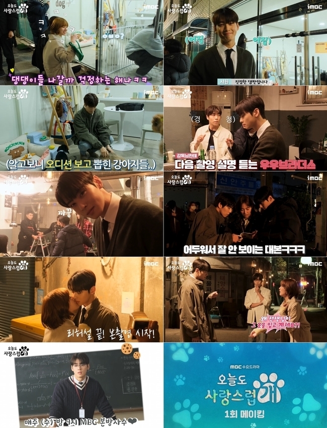 A Good Day To Be A Dog' Reveals Cha Eun-woo And Park Gyu-young’s First Kiss