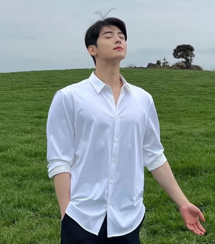 Cha Eunwoo