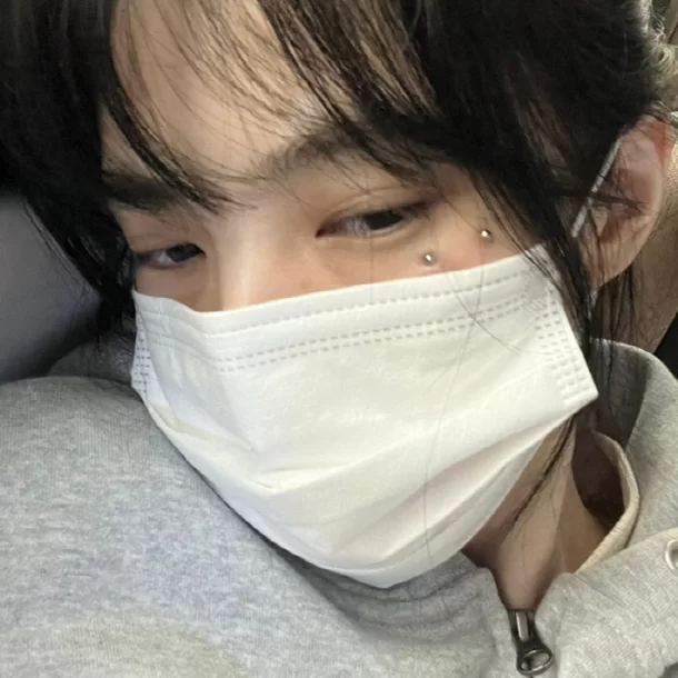 han so hee