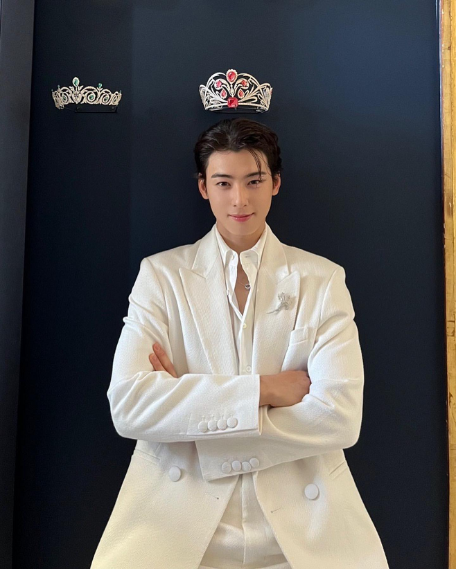 cha eun woo 