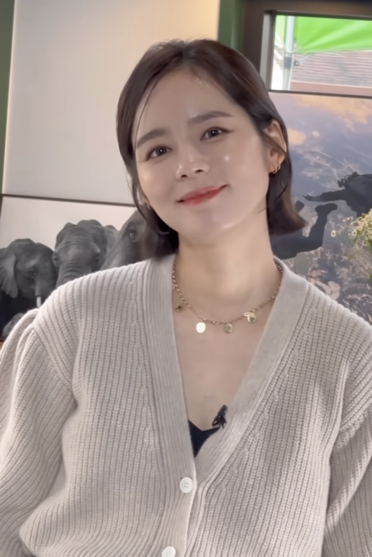 han ga in