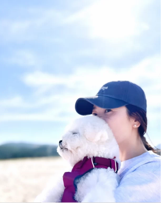 Song Hye-kyo Kim Hye-soo