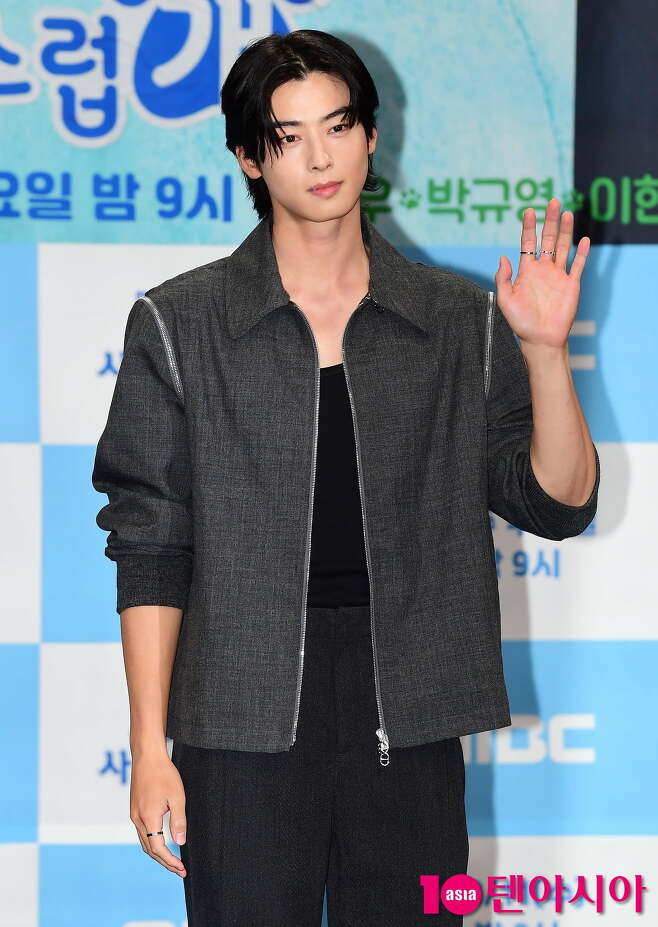 cha eun woo