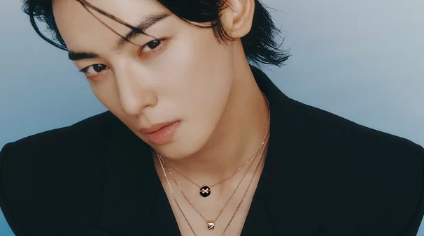 cha eun woo -thumbnail