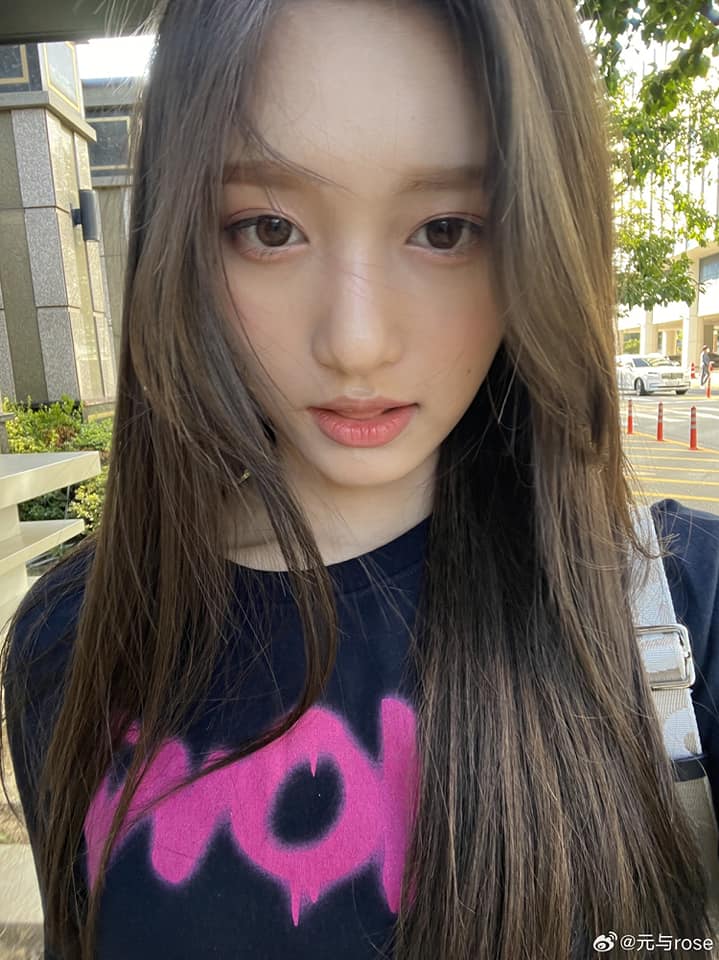 lesseo 