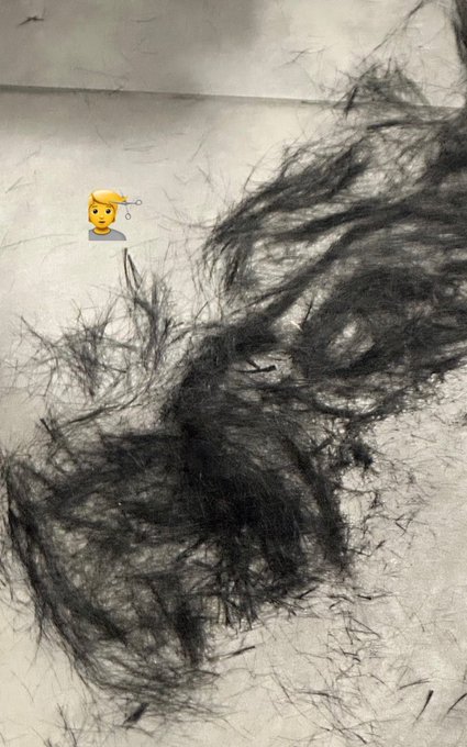 bts v hair