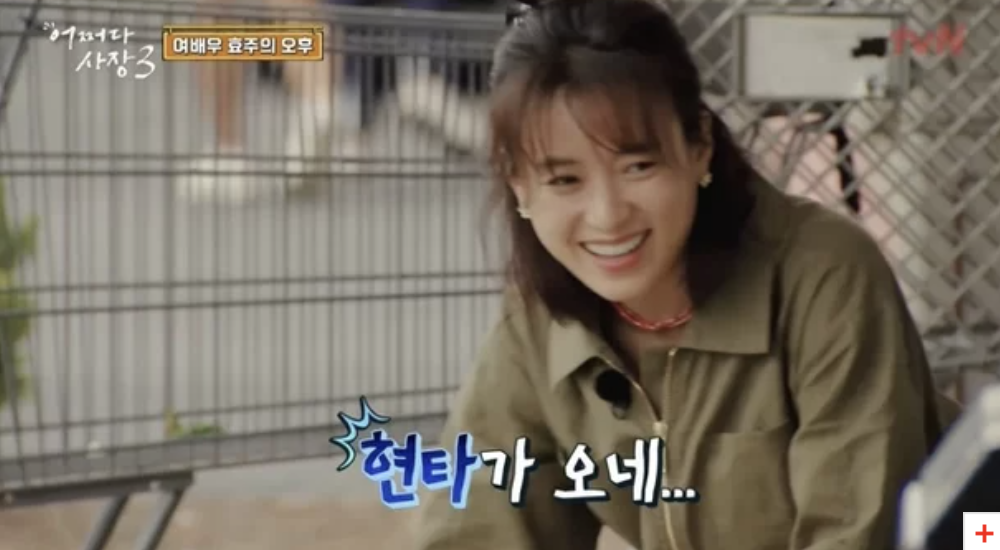 Han Hyo-joo