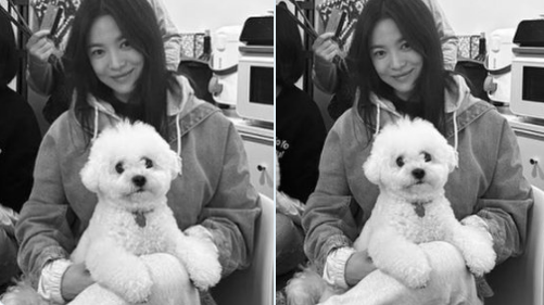 song hye kyo-thumbnail