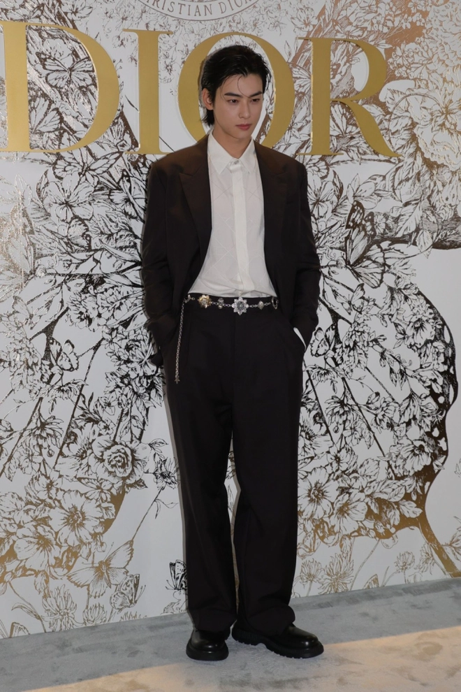 cha eun woo-dior