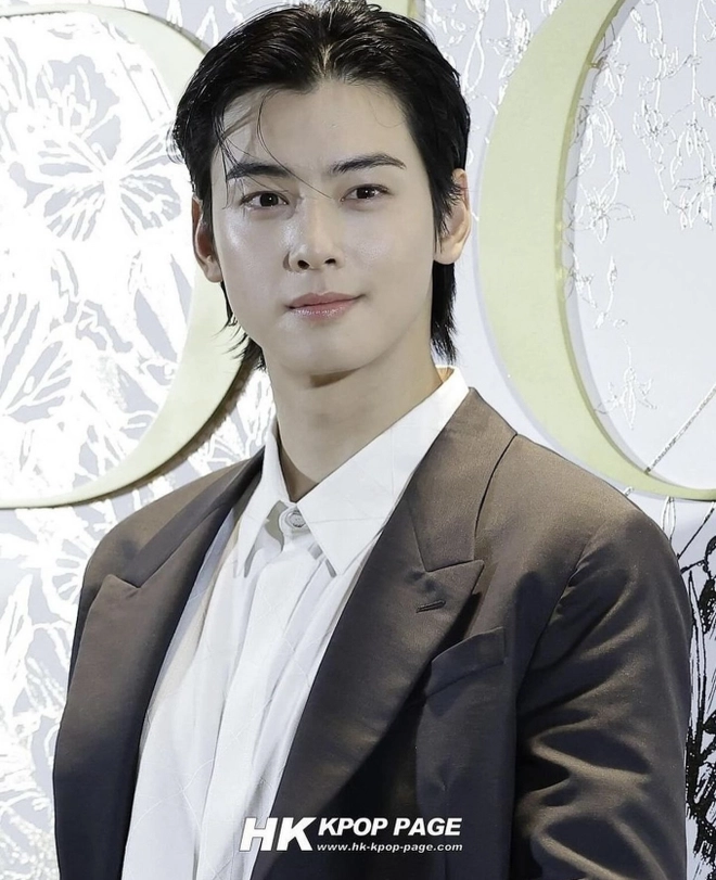 cha eun woo-dior