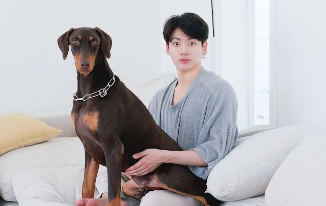 jungkook bam