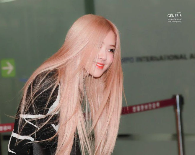 rosé
